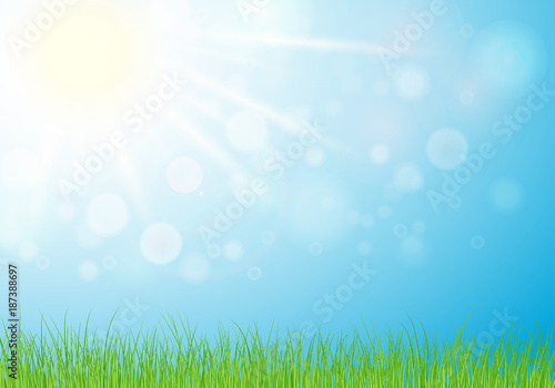Sunny day, spring or summer nature background with grass , sun light on blue sky background. illustration.Eps 10.