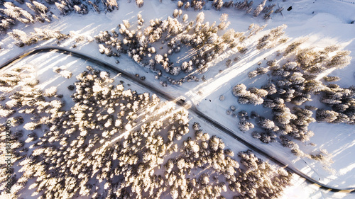 Trees covered in snow with a road in between from above. Aerial picture in Cortina D'ampezzo, Italy. photo