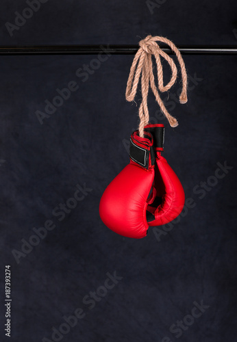 blue gloves for karate lie on a wooden white background © rozaivn58