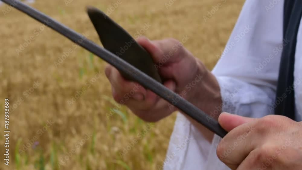 men's hands sharp blade bone of sickle manually - July 1, 2017, Zrenjanin, Serbia men's hands sharp blade bone of sickle manually - July 1, 2017, Zrenjanin, Serbia