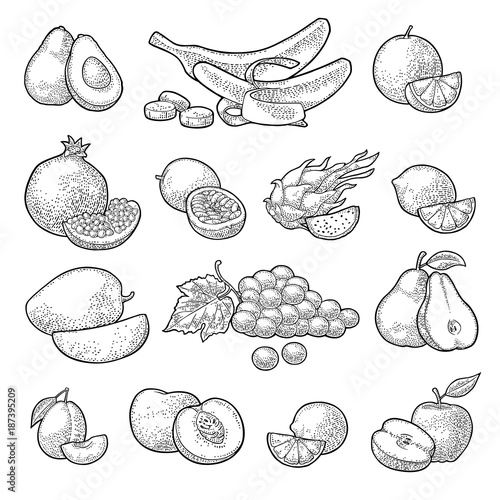 Set tropical fruits. Vector color vintage engraving isolated on white