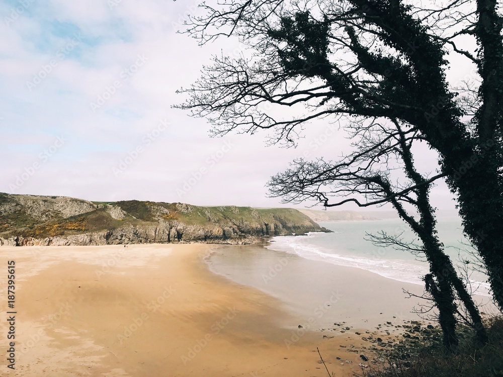 Barafundle Bay on the West Wales coast Barafundle Bay on the West Wales coast