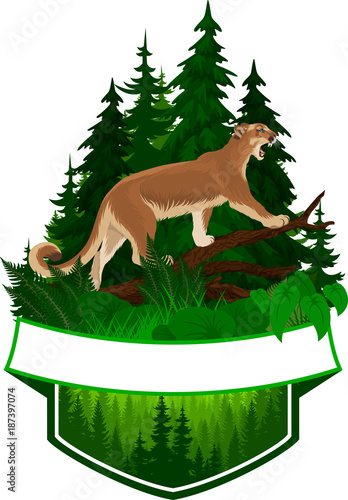 vector woodland emblem with puma cougar (Puma concolor) or mountain lion