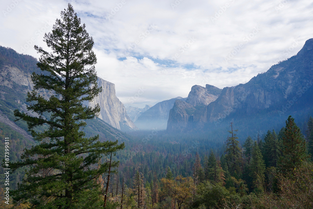 Yosemite Park in Early Morning Fog