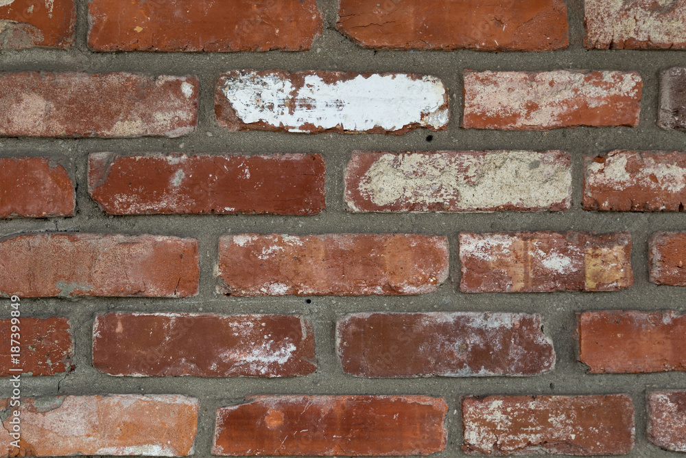 Fototapeta premium Brick Wall Texture