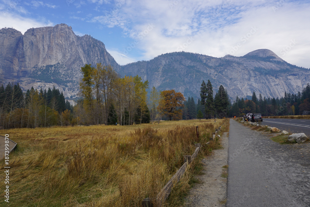 Road In Yosemite Valley