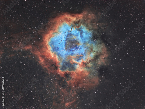 The Rosette nebula in widefield in Hubble Space telescope palette photo