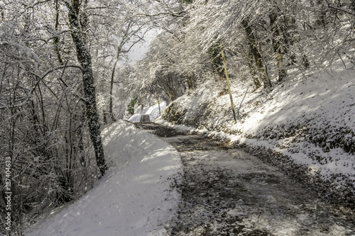 Snowy forest path © Pierre-Yves Babelon