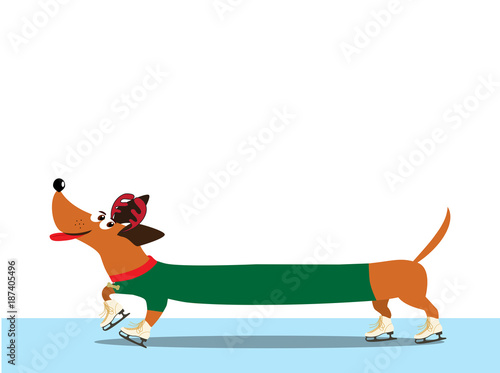dachshund dressed in green pullover skating along the ice rink.