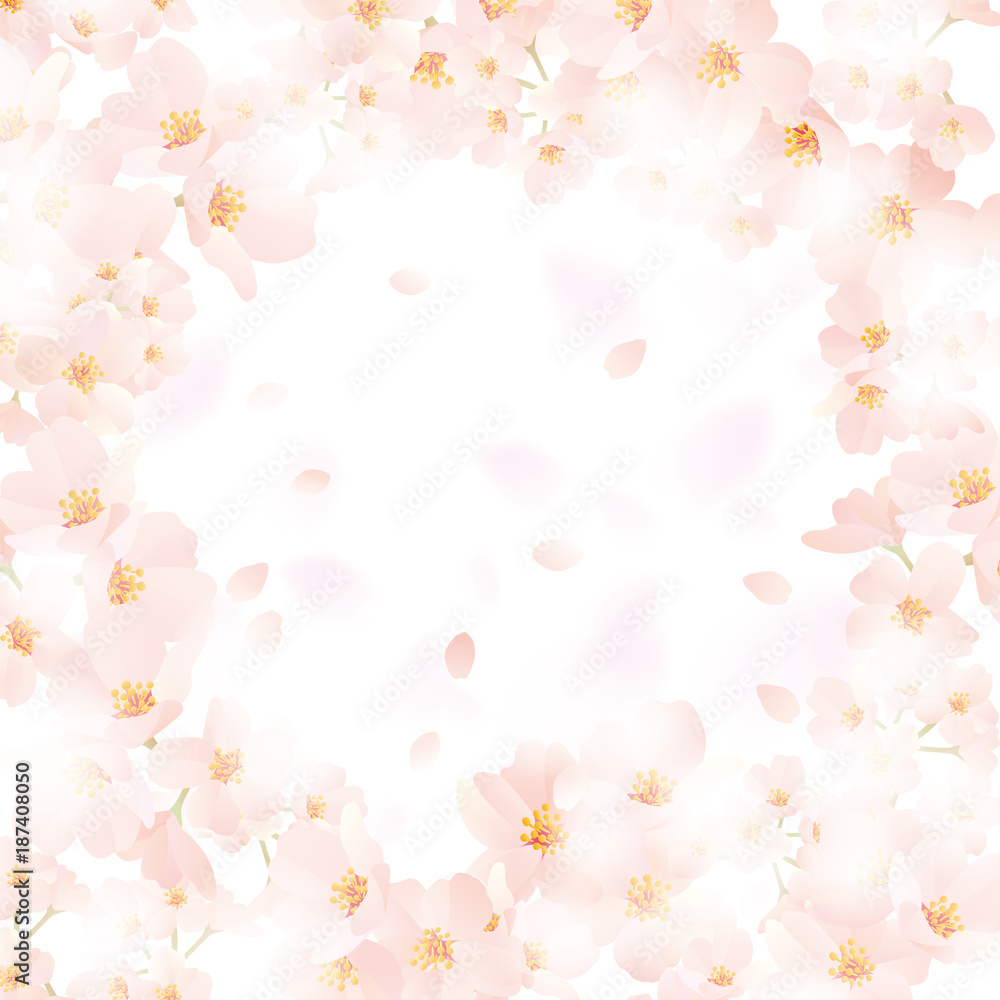桜ふわり ふわり まわり 白