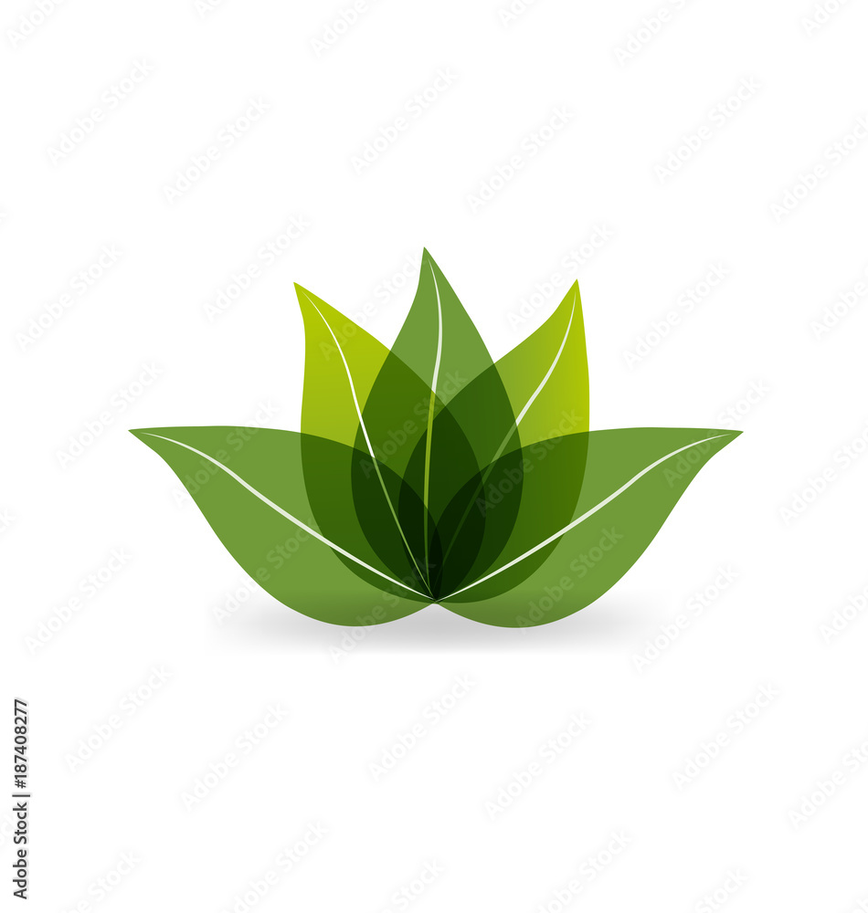 Green leaf lotus icon vector