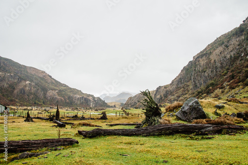 Bright green grass in rugged landscape of Chile.