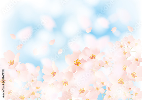 桜ふわり ふわり 二 © ヨーグル