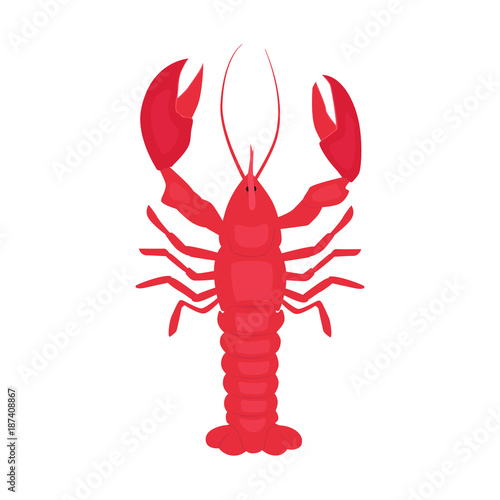 Cooked lobster vector illustration