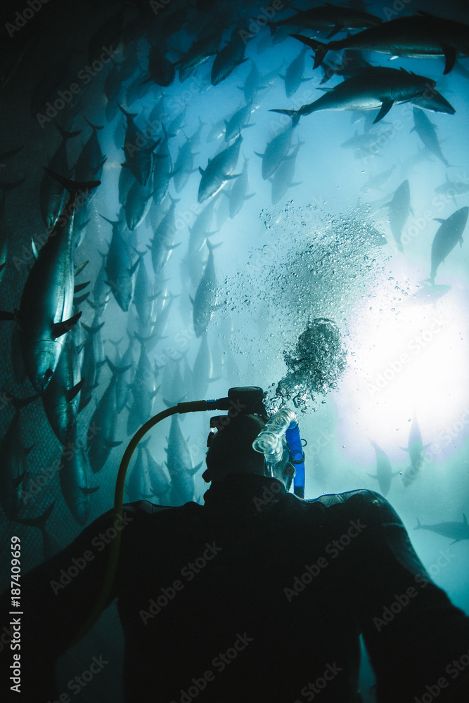 Scuba diver surrounded by deep sea fish Scuba diver surrounded by deep sea fish