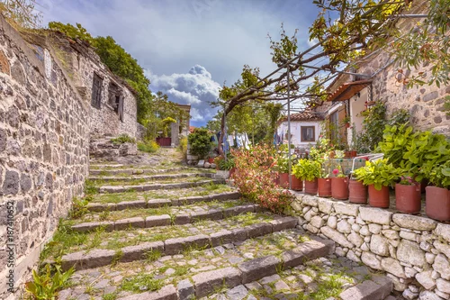 Obraz Rockowy alleyway schody z ogródami na Lesbos wyspie Grecja