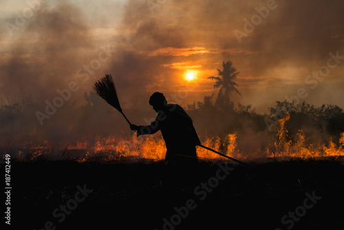 Burning sugar cane leaves.