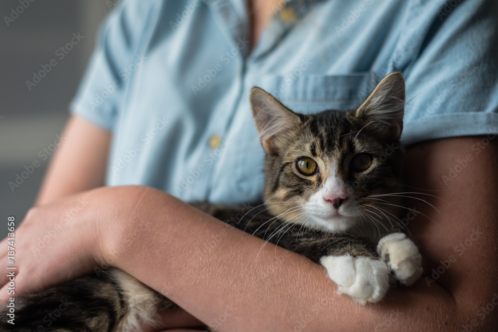 teen girl holding her cat teen girl holding her cat