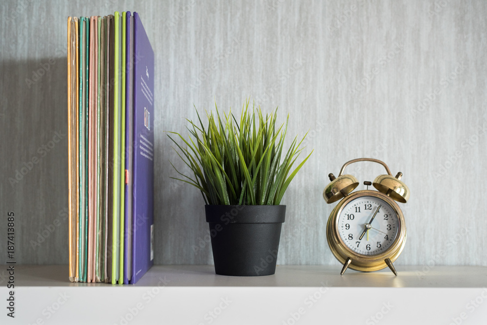 encyclopedia books, plant and alarm clock on white shelf - organized concept