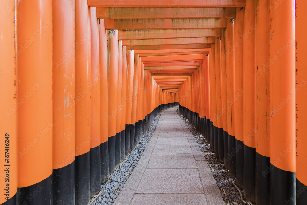 Thousands of vermilion torii gates at Fushimi Inari shrine in Kyoto Thousands of vermilion torii gates at Fushimi Inari shrine in Kyoto