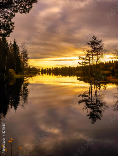 Forest lake reflection, Norway