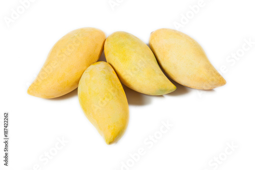 Yellow mangoes on white background