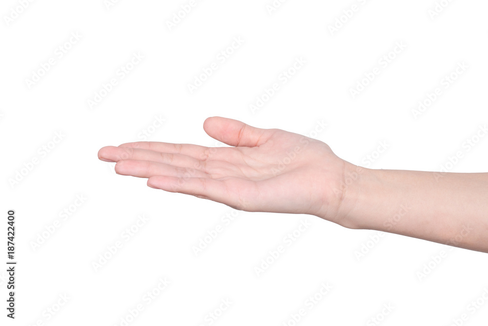 Hands of a caucasian female to shelter or catch small object, isolated on white Hands of a caucasian female to shelter or catch small object, isolated on white