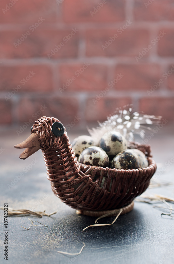 Obraz premium quail eggs