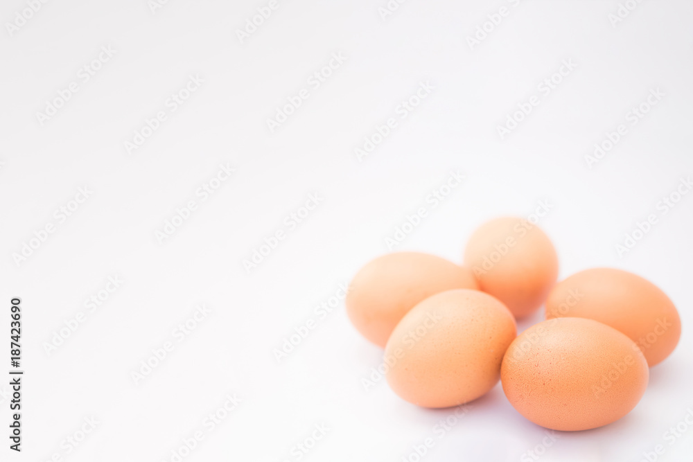 group of Egg isolated on white background with copy space group of Egg isolated on white background with copy space