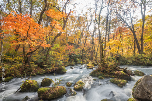 Oirase Gorge in autumn © sihasakprachum