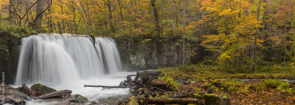Naklejka premium Oirase Gorge in autumn