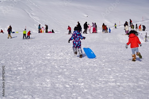スキー場でそり遊びをする子供たち