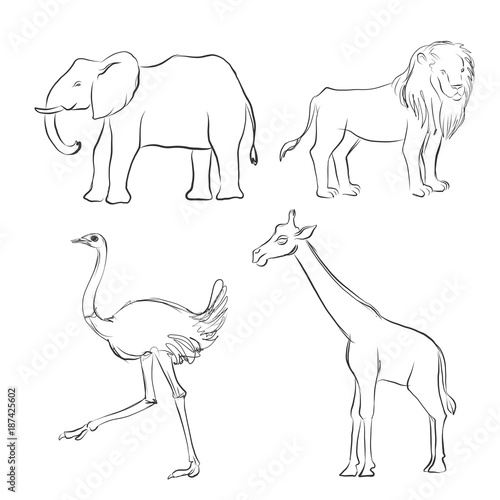 vector cartoon sketch of animals