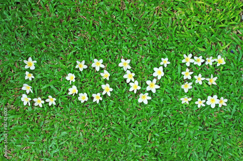 Flower shaped love text on green grass