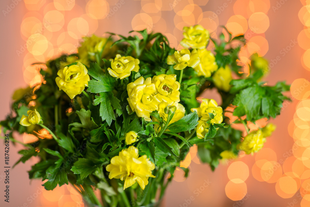Obraz premium Pink persian buttercup flowers. Curly peony ranunculus in Metallic gray vintage can. Vase with beautiful bouquet on table. Copy space. lights on the background