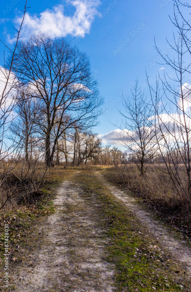 Walk through the spring fields. The picturesque nature of England in the early spring Walk through the spring fields. The picturesque nature of England in the early spring
