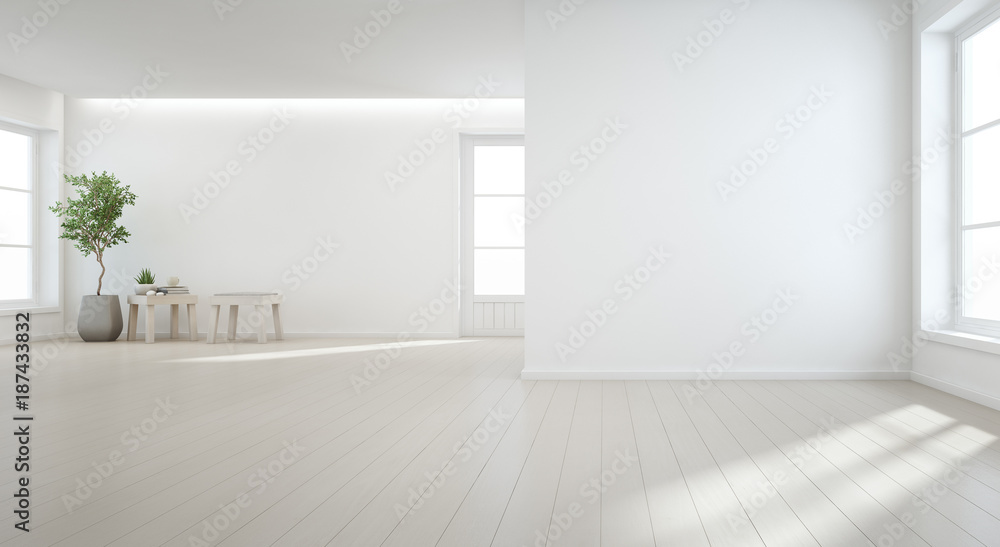 Ilustração do Stock: Indoor plant on wooden floor with white wall background  in large room at modern new house for big family, Vintage window and door  of empty hall or natural light