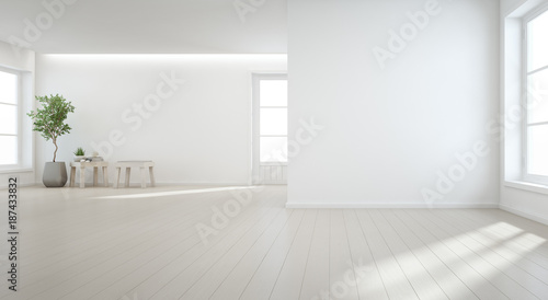 Indoor plant on wooden floor with white wall background in large room at modern new house for big family, Vintage window and door of empty hall or natural light studio - Home interior 3d illustration