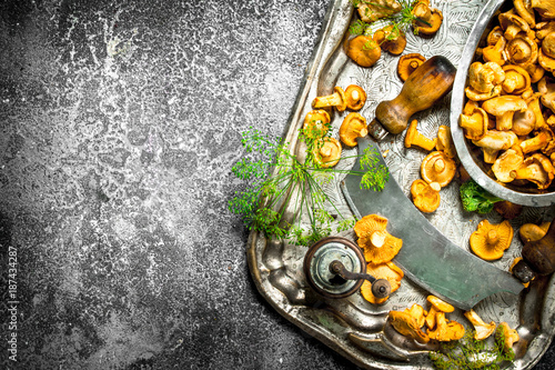 Fresh chanterelles mushrooms with herbs and an old knife on a steel tray.