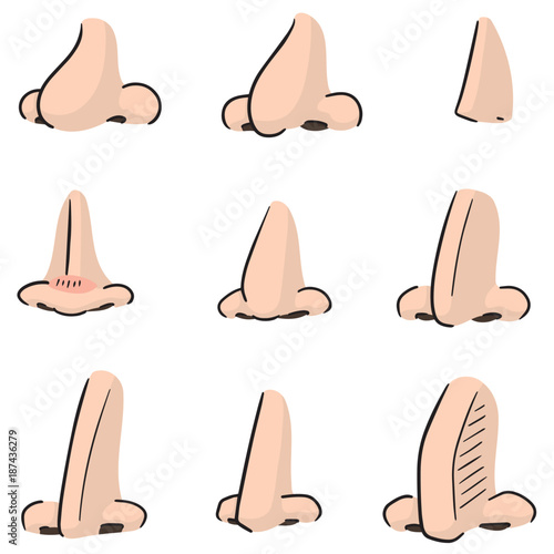 vector set of nose photo