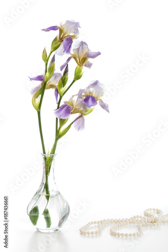 Fototapeta Naklejka Na Ścianę i Meble -  Image with iris.