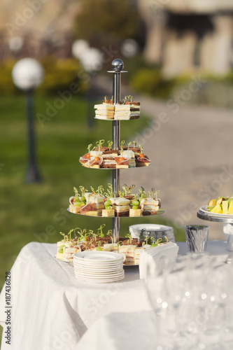 Catering on wedding. Buffet food