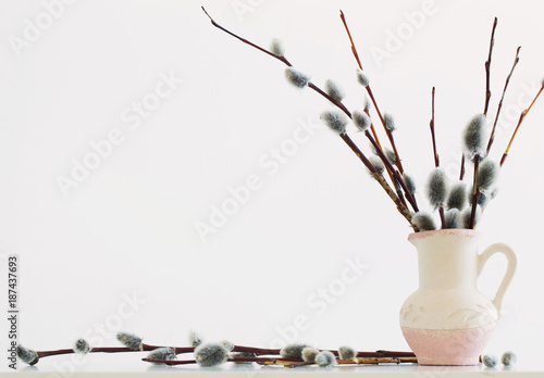 Branches of the pussy willow with flowering bud in vase with water on white background