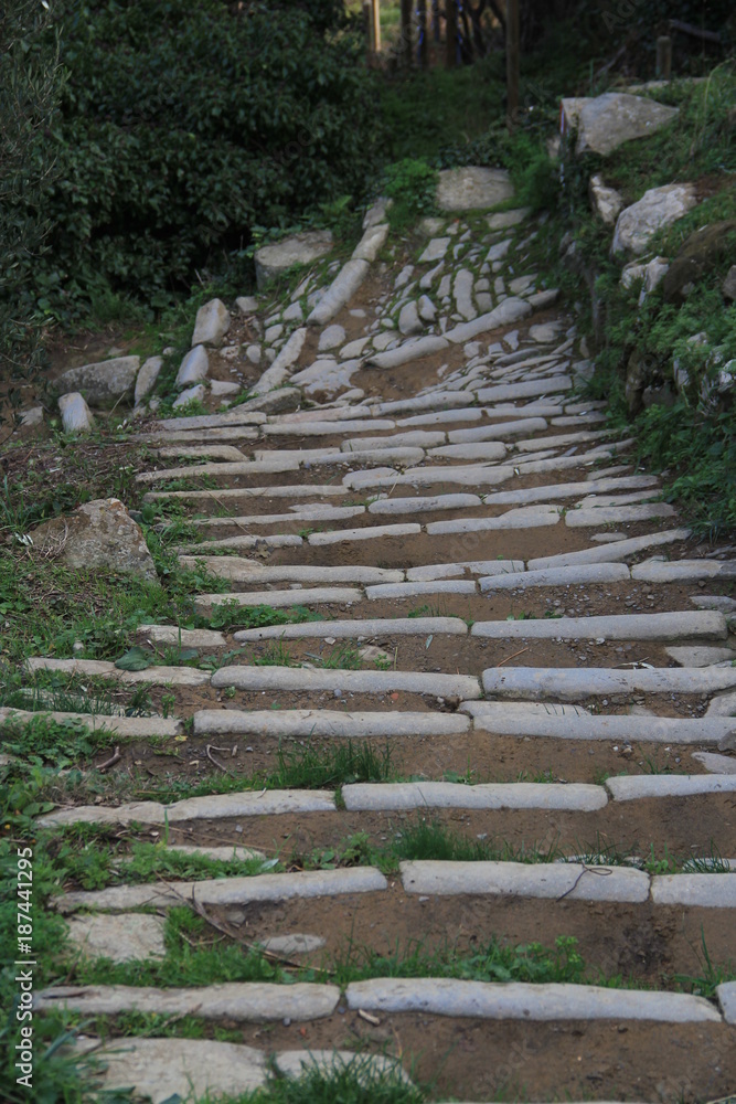 sentier ligure, Cinque Terre, Italie sentier ligure, Cinque Terre, Italie