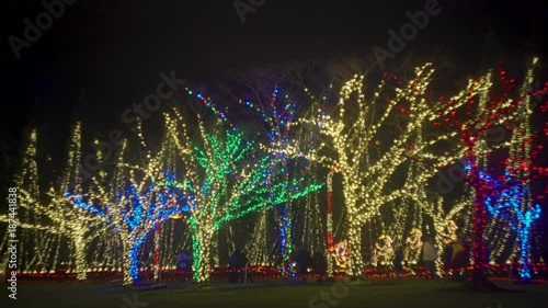Colorful lights on the trees, beautiful alley, Seattle, Washington. Motion video. 4K, 3840*2160, high bit rate, UHD