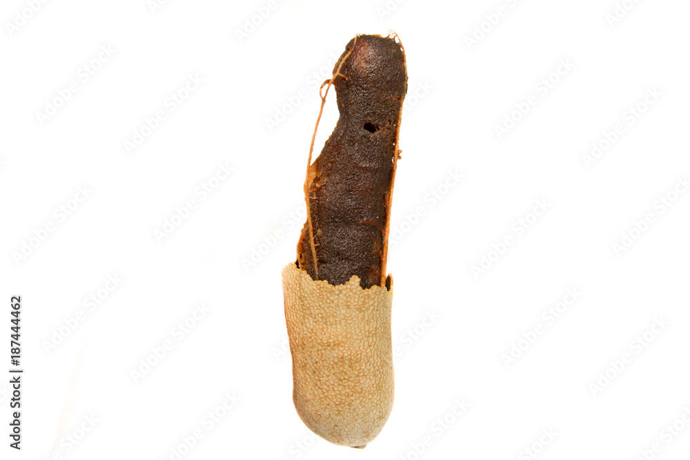 Φωτογραφία Sweet Tamarind Isolated in Phetchabun of Thailand