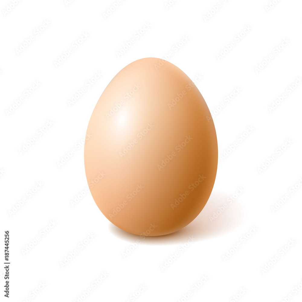 Vector realistic chicken brown egg, easter spring