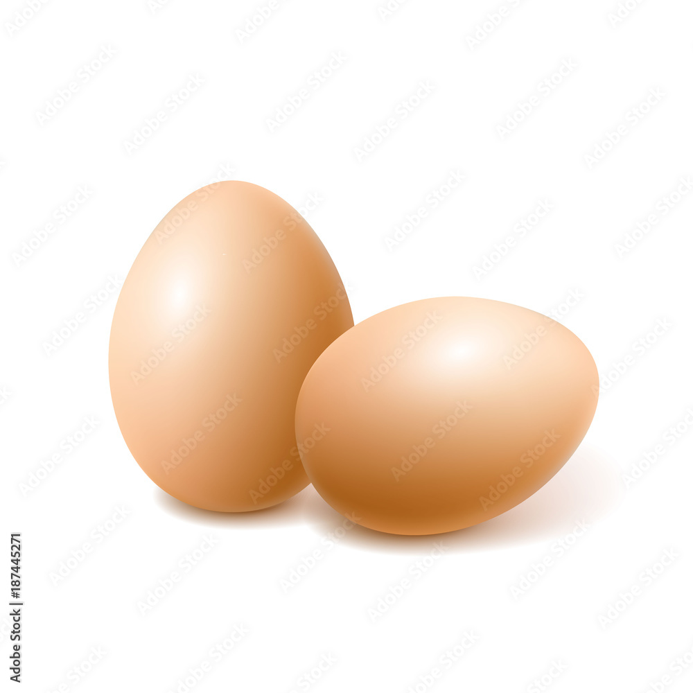 Vector realistic chicken brown egg, easter spring Vector realistic chicken brown egg, easter spring