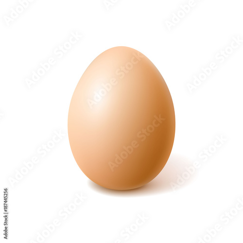 Vector realistic chicken brown egg, easter spring