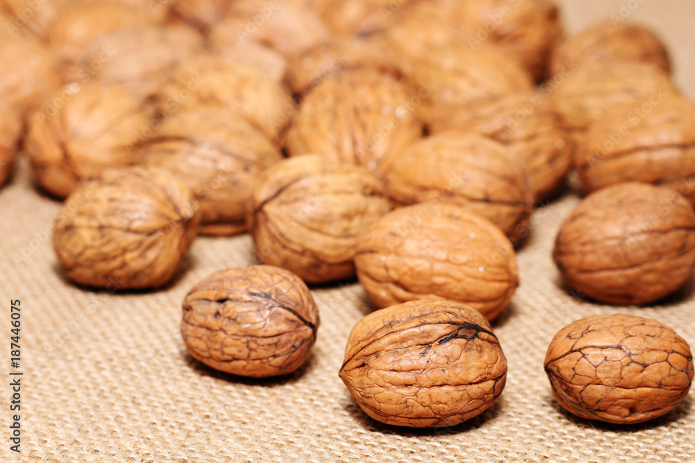 Spilled walnuts on the background of sack cloth Spilled walnuts on the background of sack cloth